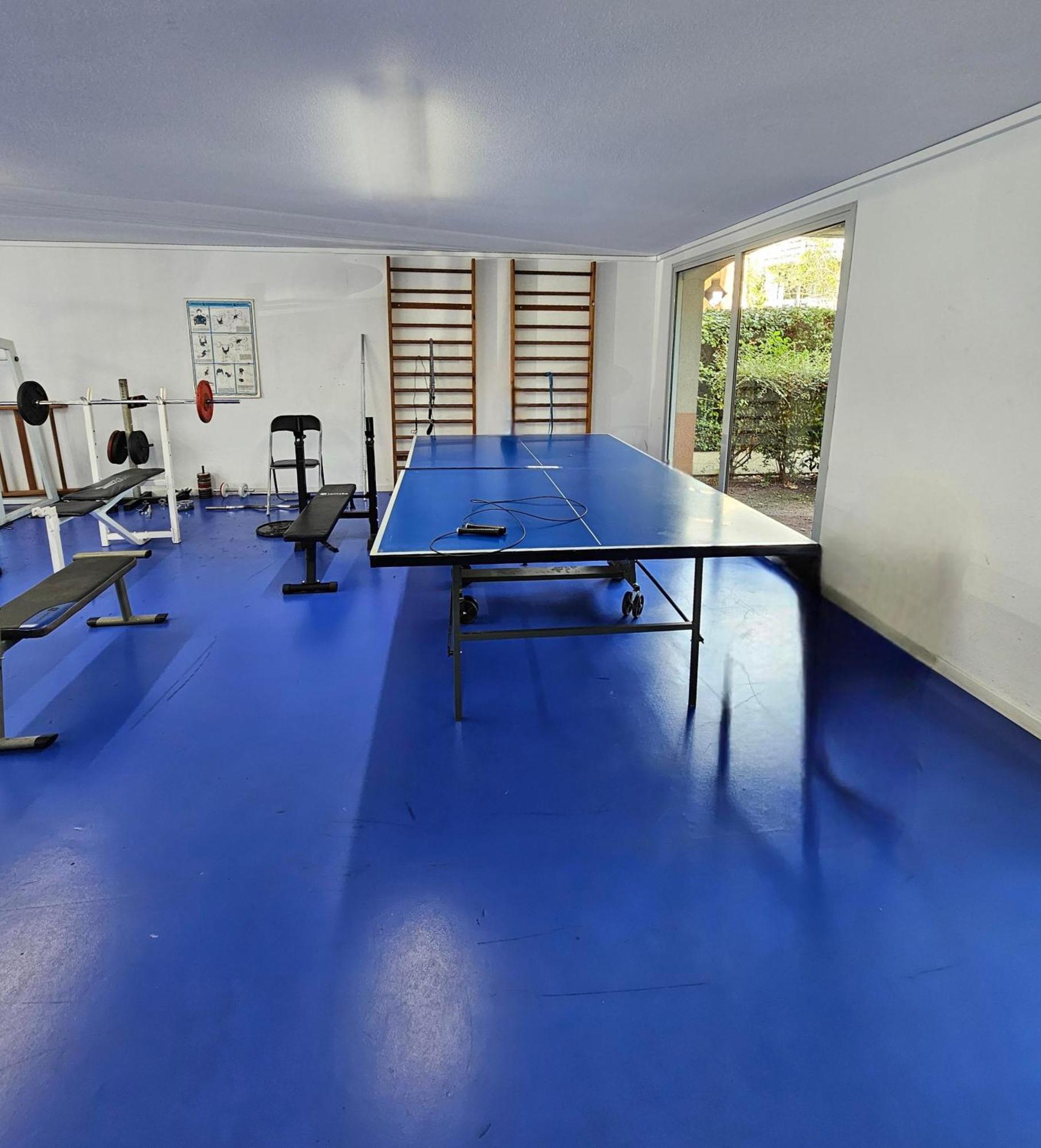 T2 Havre De Paix 2 A 4 P - Terrasse - Parking - Piscine - Salle Sport - Tennis تولوز المظهر الخارجي الصورة